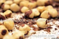 Processed and Unprocessed Hazelnut