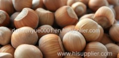 Processed and Unprocessed Hazelnut