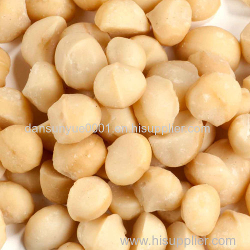 Macadamia Nuts Best Quality Macadamia Nuts Grade A Macadamia Nuts