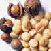 Macadamia Nuts Best Quality Macadamia Nuts Grade A Macadamia Nuts