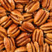 pecan nuts fattening pecan nut pie recipe pecan nut recipes