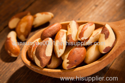 Shelled Brazil nuts roasted brazil nut Brazil Nuts out of Shelled for sale