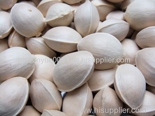 Ginkgo Nuts Best Quality Ginkgo Nuts Grade A Ginkgo Nuts