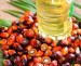 Organic Palm Oil Palm Fruit Oil