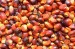 Organic Palm Oil Palm Fruit Oil