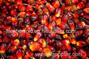 good price palm oil