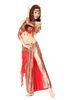 Embroidered flower belly dance troupe costumes with print spandex fabric