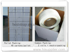 BST 13mm cord plastic packing strap/belt/band in China