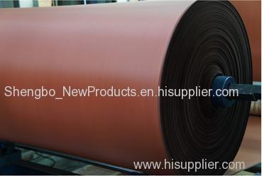EE100 Conveyor Belting Fabric