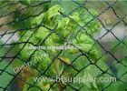 Green HDPE Plastic Anti Bird Nets , 33gsm 16mm Diamond Bird Protection Safety Netting Mesh