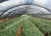 Mono Building Agriculture Outdoor Shade Net , Sand Control Wind Protection Sun Shade Nets