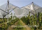 UV Stabilized Agriculture Anti-hail Net with Mesh Size 3mm x 7mm 55g Per Square Meter