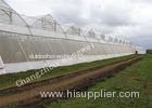 High Density Polyethylene Anti-insect Net for Green House Agriculture Use , UV Resistant
