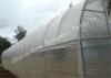 Agricultural Plastic Anti Insect Netting / Insect-proof Mesh Plant Covers Transparent or Custom