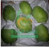 Egyptian mango (sukarya) by fruit link