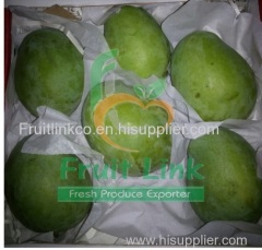 Egyptian mango (sukarya) by fruit link