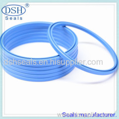 Spring energized seals manufacturer.