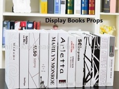 Fake books props books model