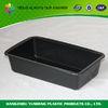 Disposable Plastic Food Trays PET Take Away Tray