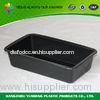 Disposable Plastic Food Trays PET Take Away Tray