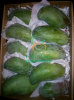EGyptian mango ( sedika ) by fruit link