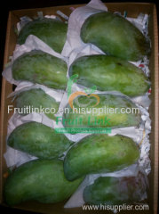 EGyptian mango ( sedika ) by fruit link