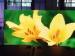 Indoor High Resolution LED Display / Rental LED Display