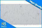 Polished Bianco White Carrara Stone Marble Tiles For Hotel / Home Decoration Wall Sheet