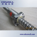 Hot sales Linear motion Rolled ball screw with low noise