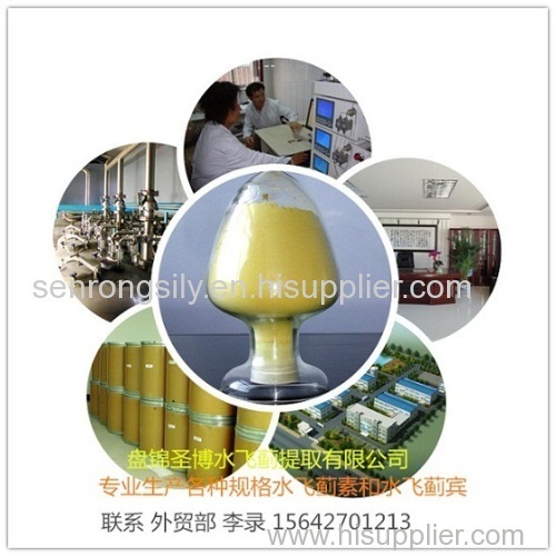 silymarin powder UV80% milk thistle extract 80%