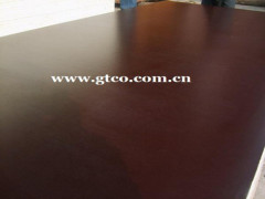 film faced plywood for building and construction