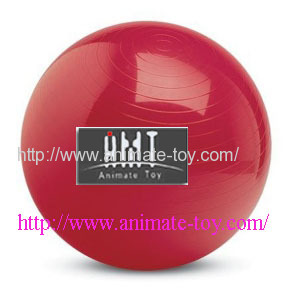 Animate Fitness ball/exercise ball