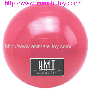 Animate Fitness ball/exercise ball