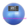 Animate Fitness ball/exercise ball