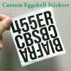 Permanent Adhesive Vinyl Self Destructible Eggshell Sticker for Outdoor Use