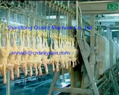 Chicken processing slaughtering line