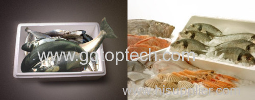 EPS Fish Box Vegetable Box EPS Foam Container EPS Moulds eps foam vegetable box mold