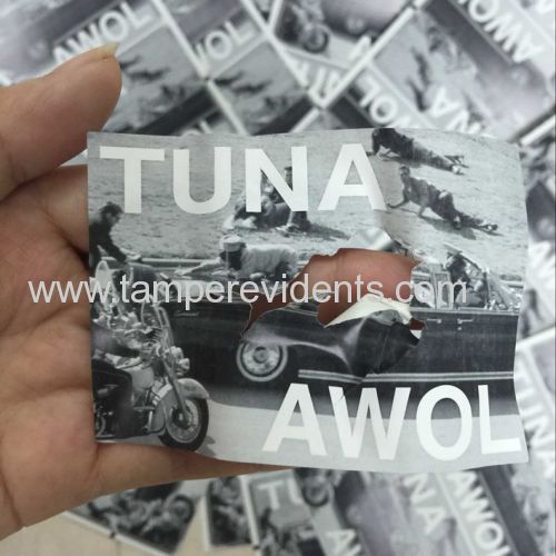 Customized High Quality Destructible Vinyl Eggshell Sticker with Permanent Adhesive from Minrui