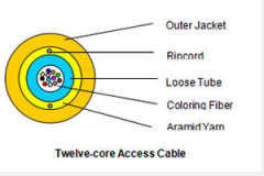 Twelve-core Access fiber optic cable