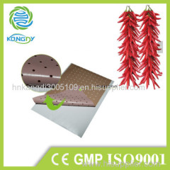 Kangdi OEM High Quality Porous Capsicum Adhesive Plaster for pain