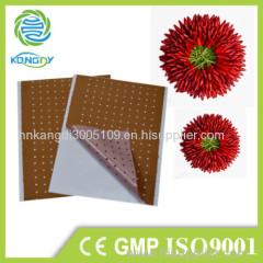 Kangdi OEM High Quality Porous Capsicum Adhesive Plaster for pain