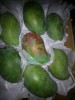 Egyptian mango ( mabruka ) by fruit link