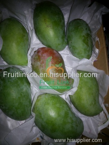 Egyptian mango ( mabruka ) by fruit link