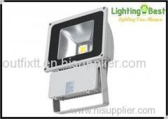 60W / 70W / 80W 110v - 230v White High Power Led Flood Lights (ODM or OEM)