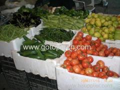 EPS vegetable box packaging mould by eps shape moulding machine polystyrene packaging mould