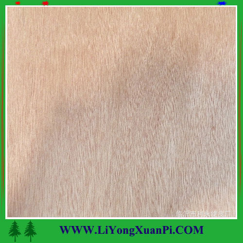 Linyi factory natural color oak veneer