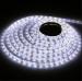 White / Purple IP68 5050 SMD Flexible Led Strips 72W for Decorative