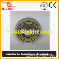 Electrically insulated bearing 6324