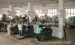 Shanghai Young Mould Co., Ltd.