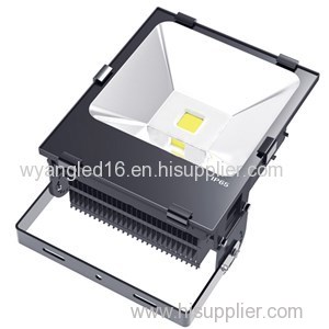 50W LED Flood Light